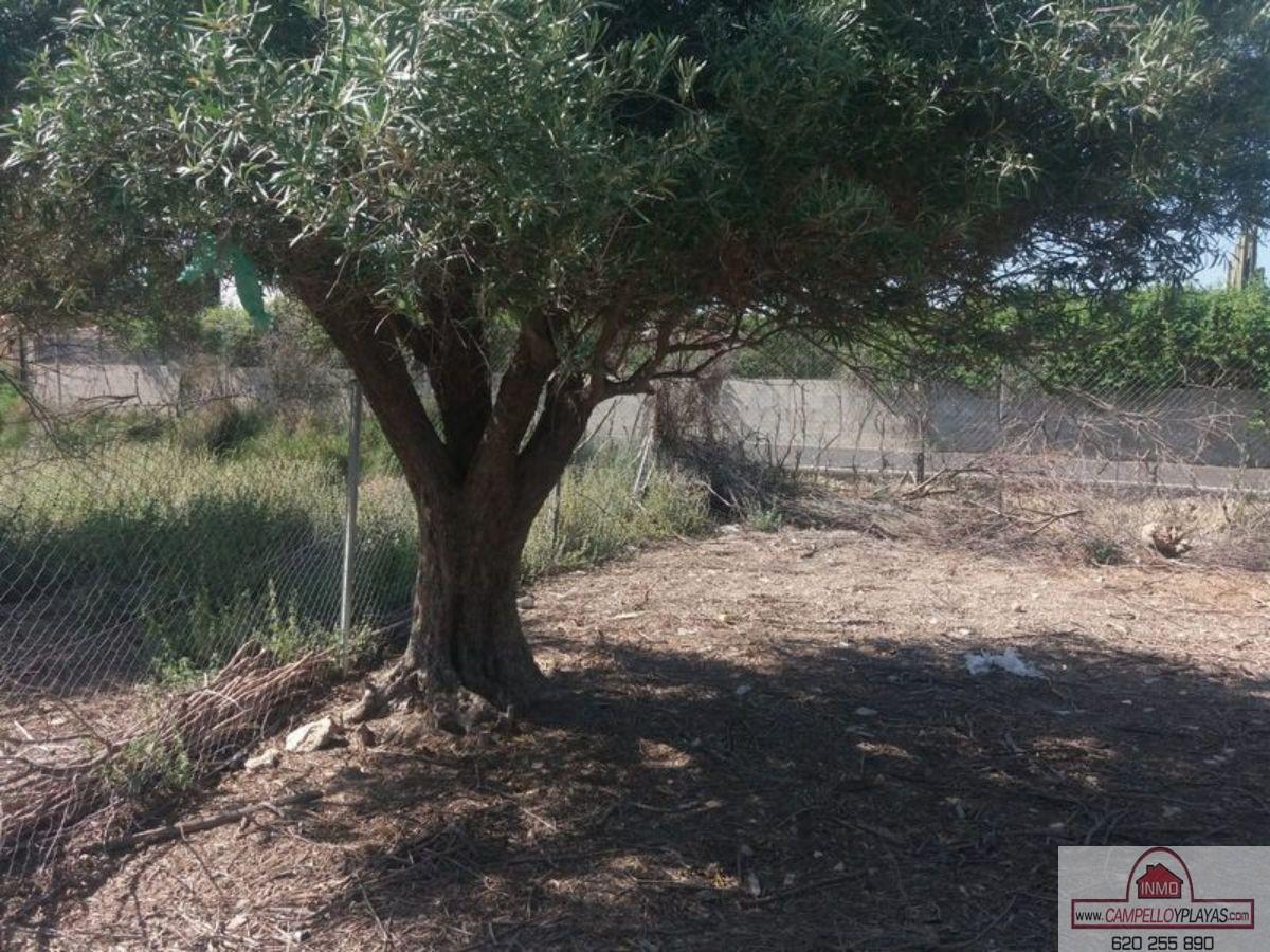 For sale of land in Alicante
