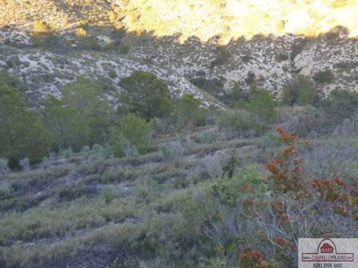 For sale of land in Relleu