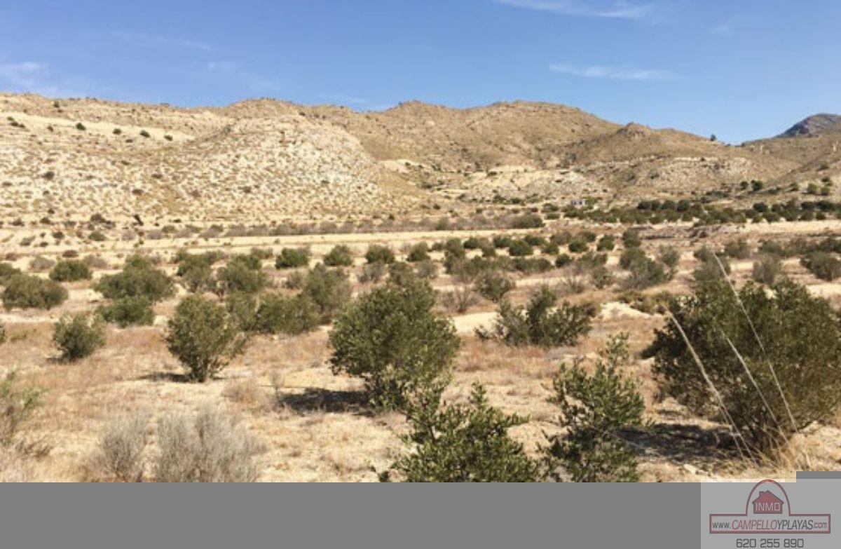 For sale of rural property in Busot
