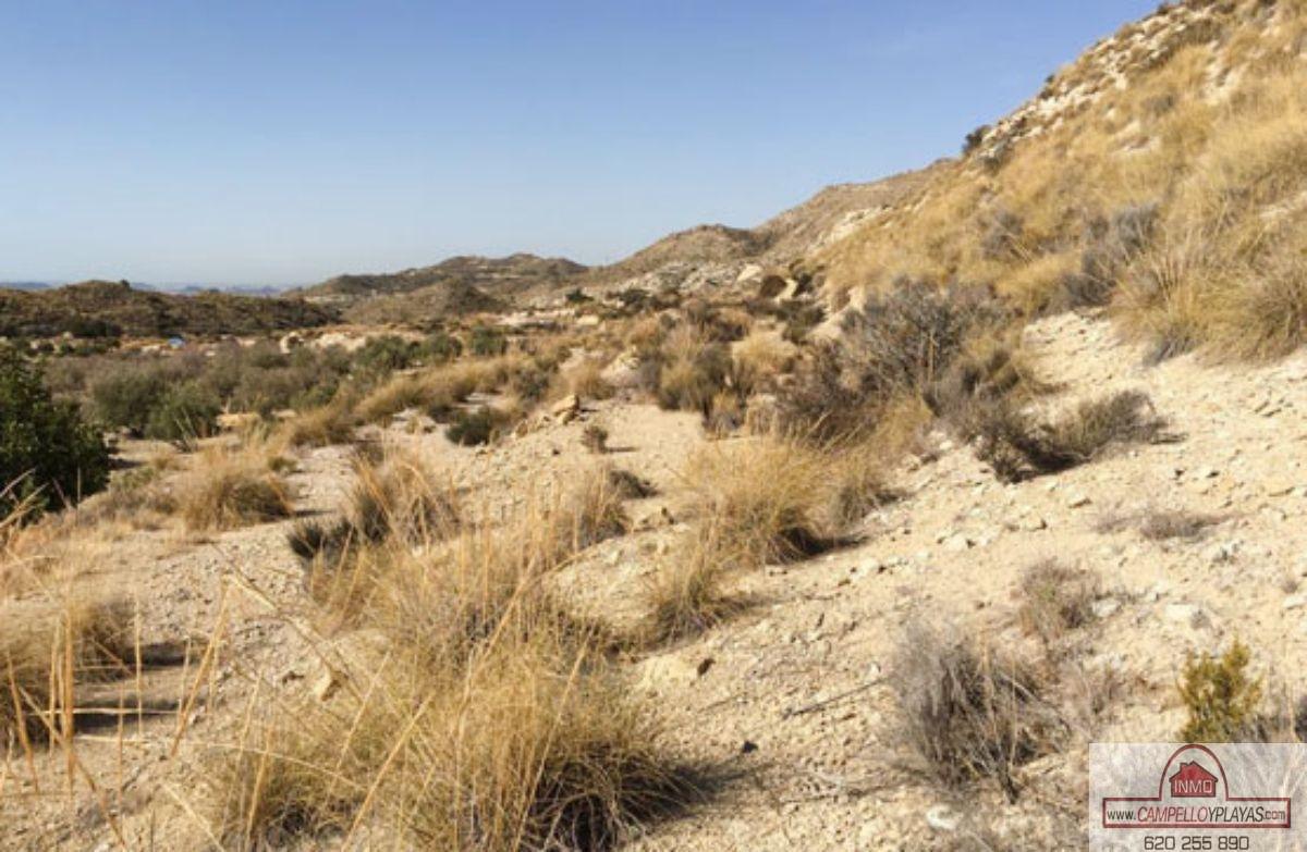 For sale of rural property in Busot