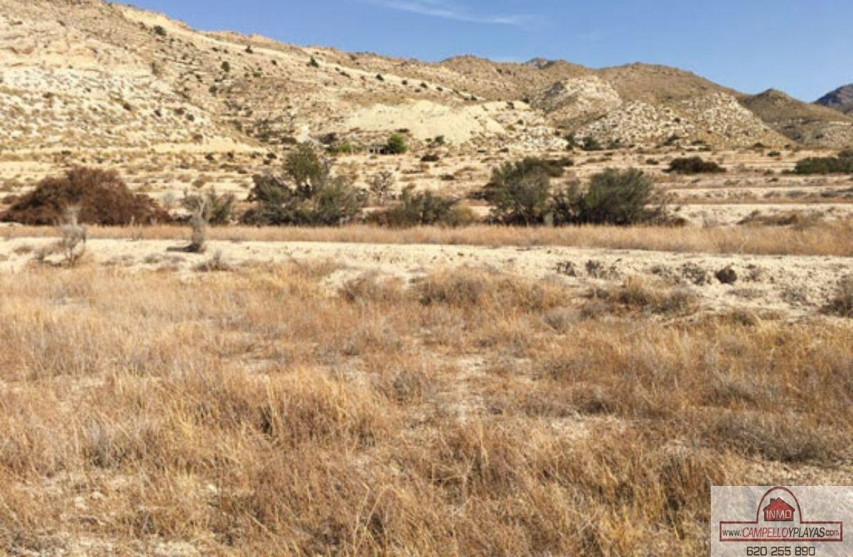 For sale of rural property in Busot