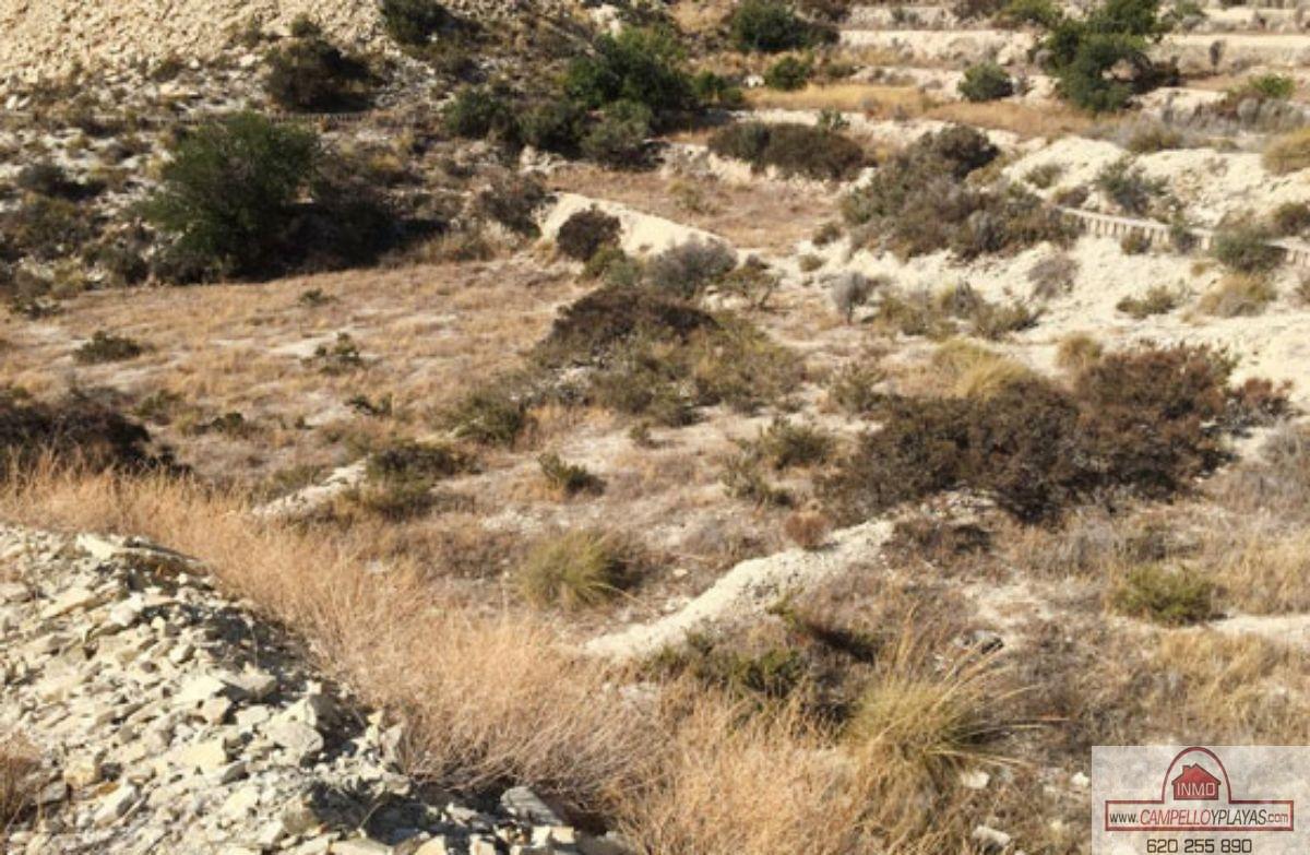 For sale of rural property in Busot