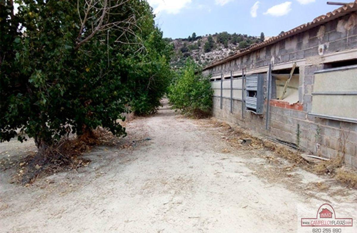 For sale of industrial plant/warehouse in Gorga