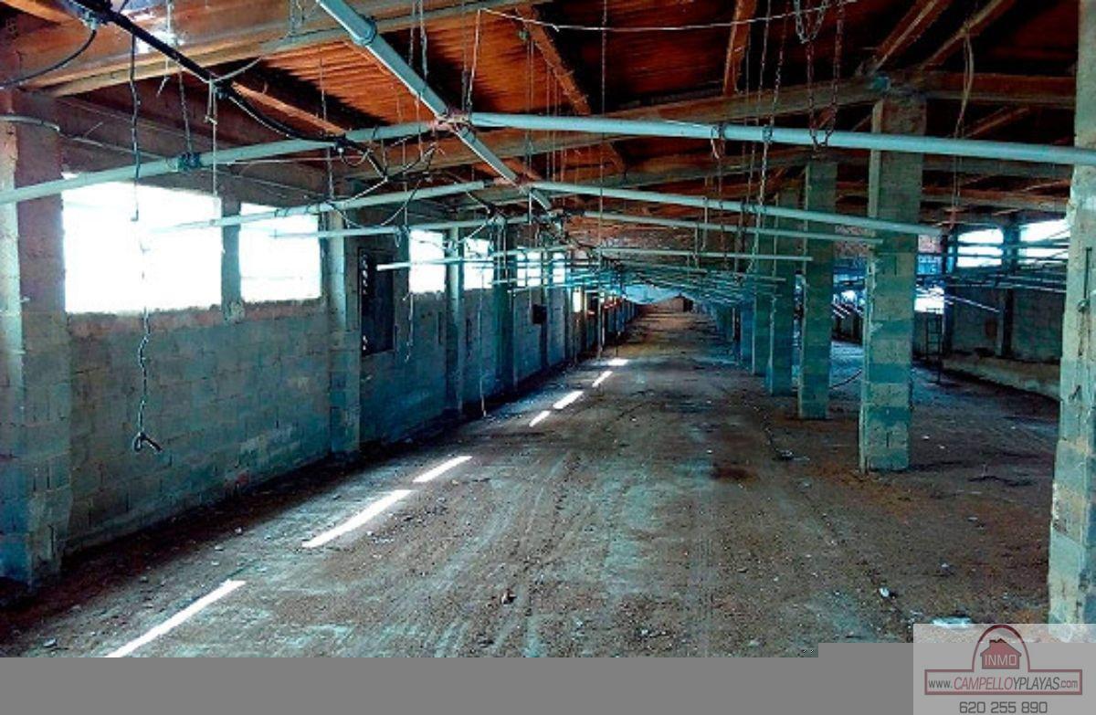For sale of industrial plant/warehouse in Gorga