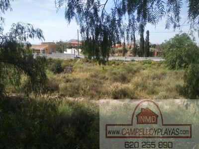 Ground