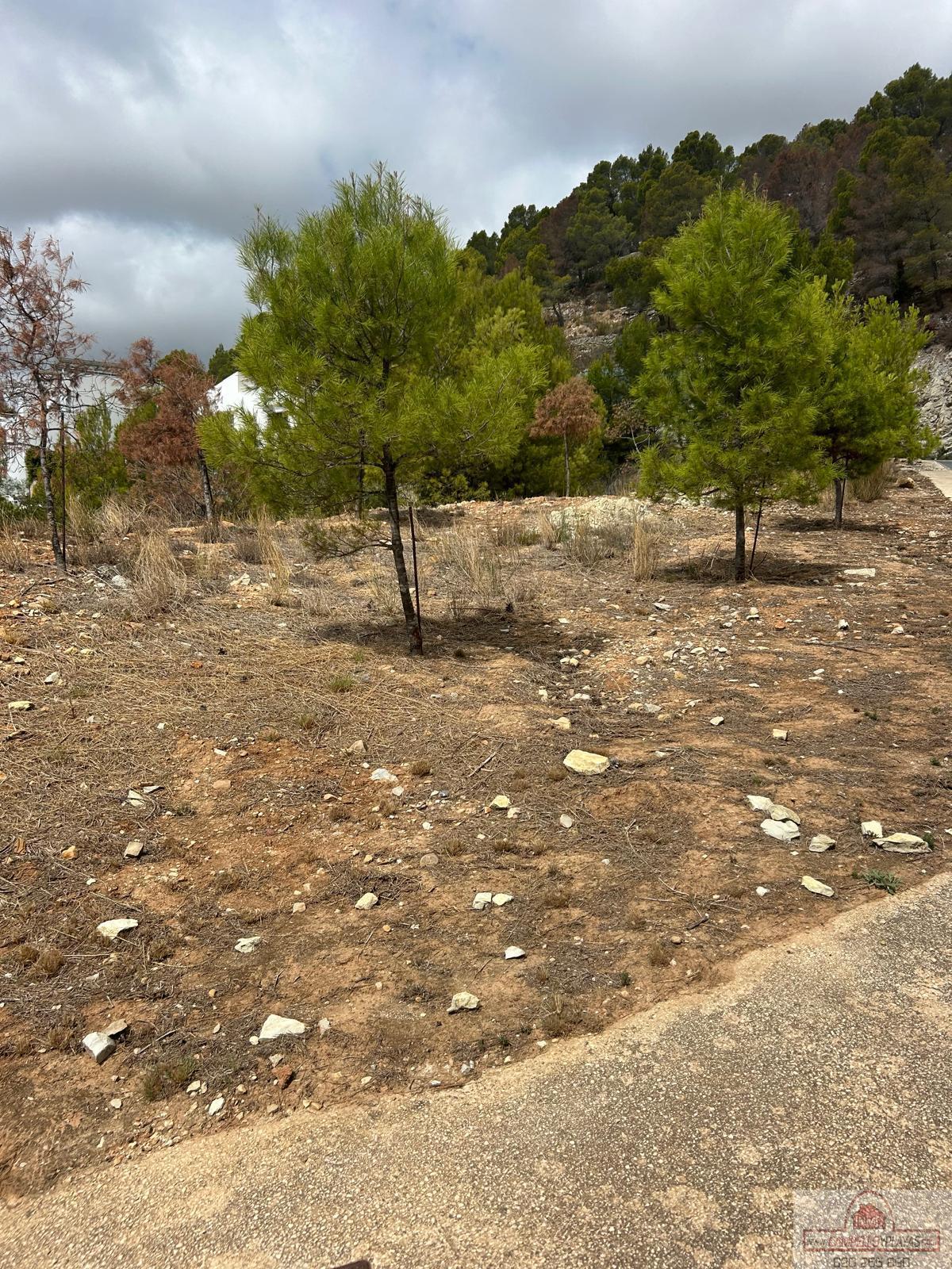 Ground