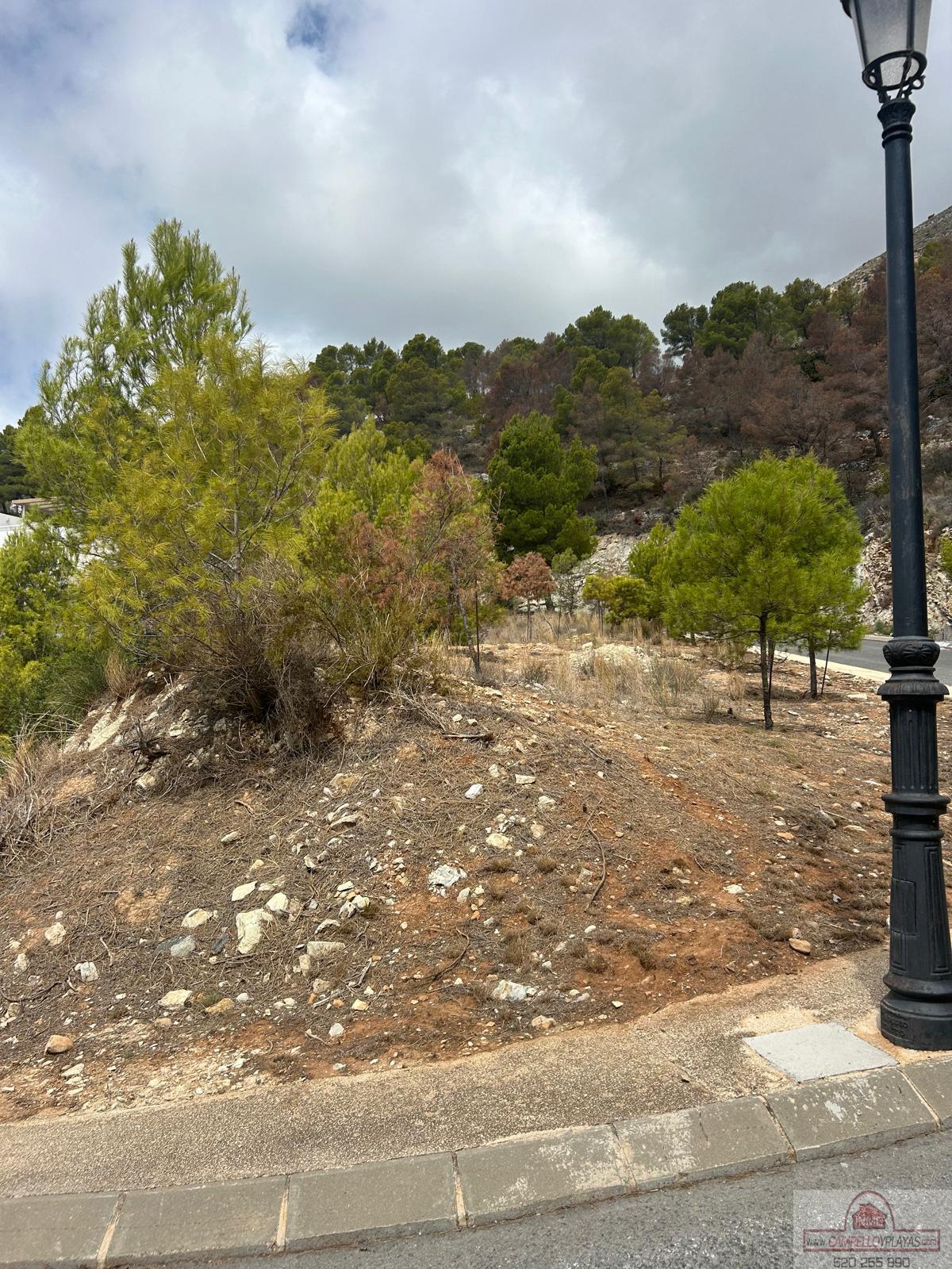 Ground