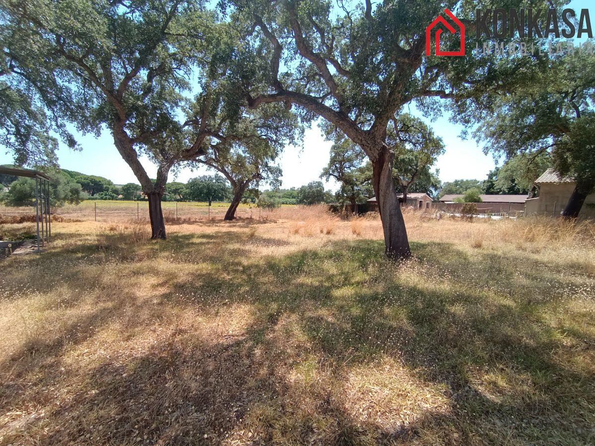 For sale of land in Arcos de la Frontera