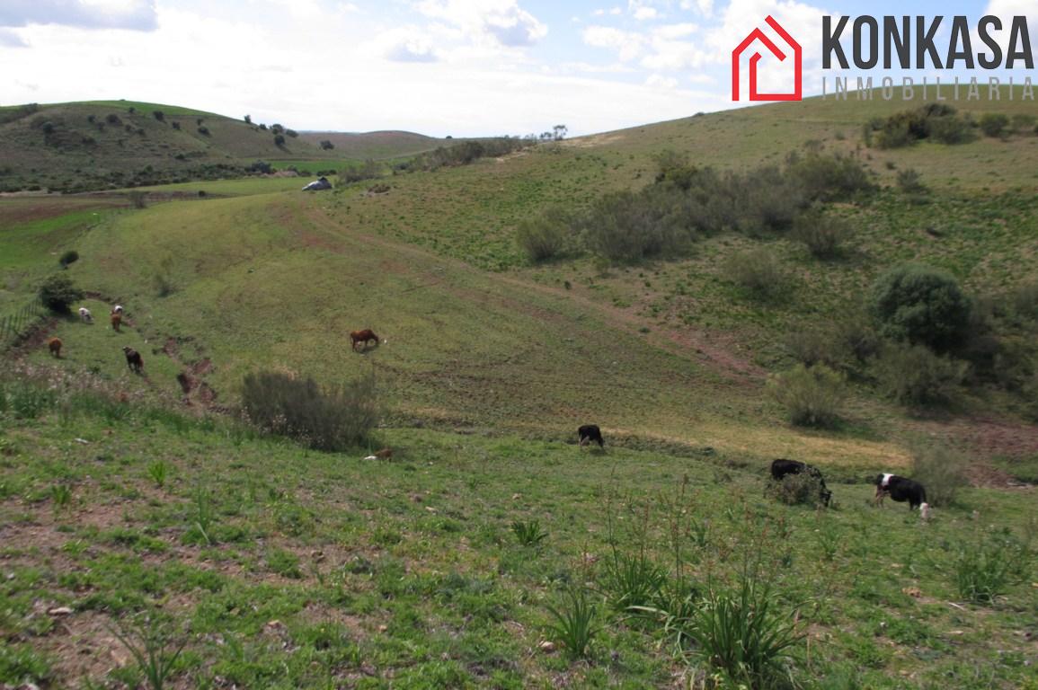 Venta de finca rústica en Arcos de la Frontera