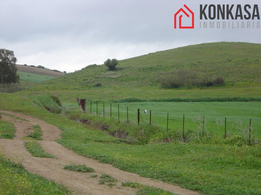 For sale of rural property in Arcos de la Frontera