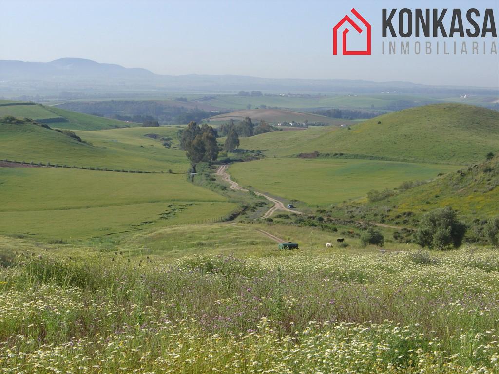Venta de finca rústica en Arcos de la Frontera