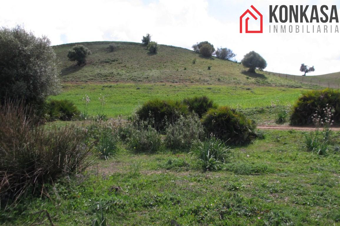 Venta de finca rústica en Arcos de la Frontera