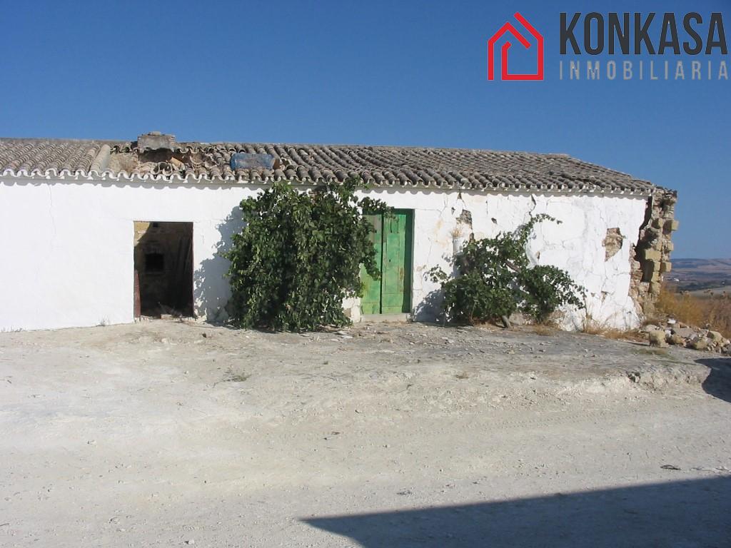 Venta de finca rústica en Arcos de la Frontera