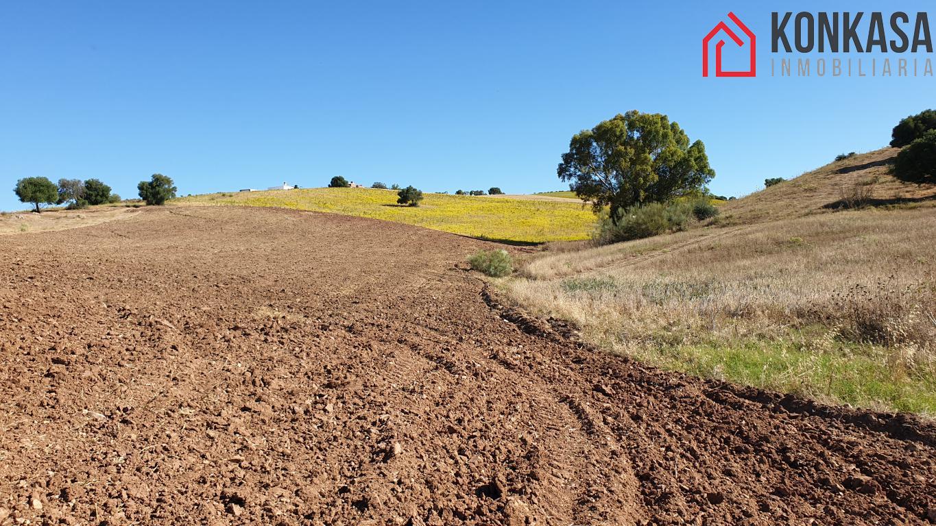 Venta de finca rústica en Arcos de la Frontera