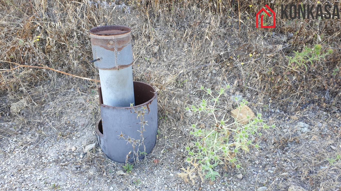 Venta de finca rústica en Arcos de la Frontera