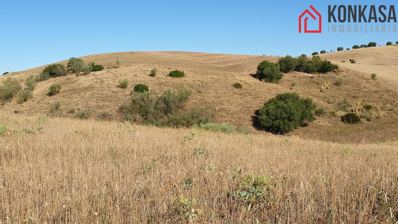 Venta de finca rústica en Arcos de la Frontera