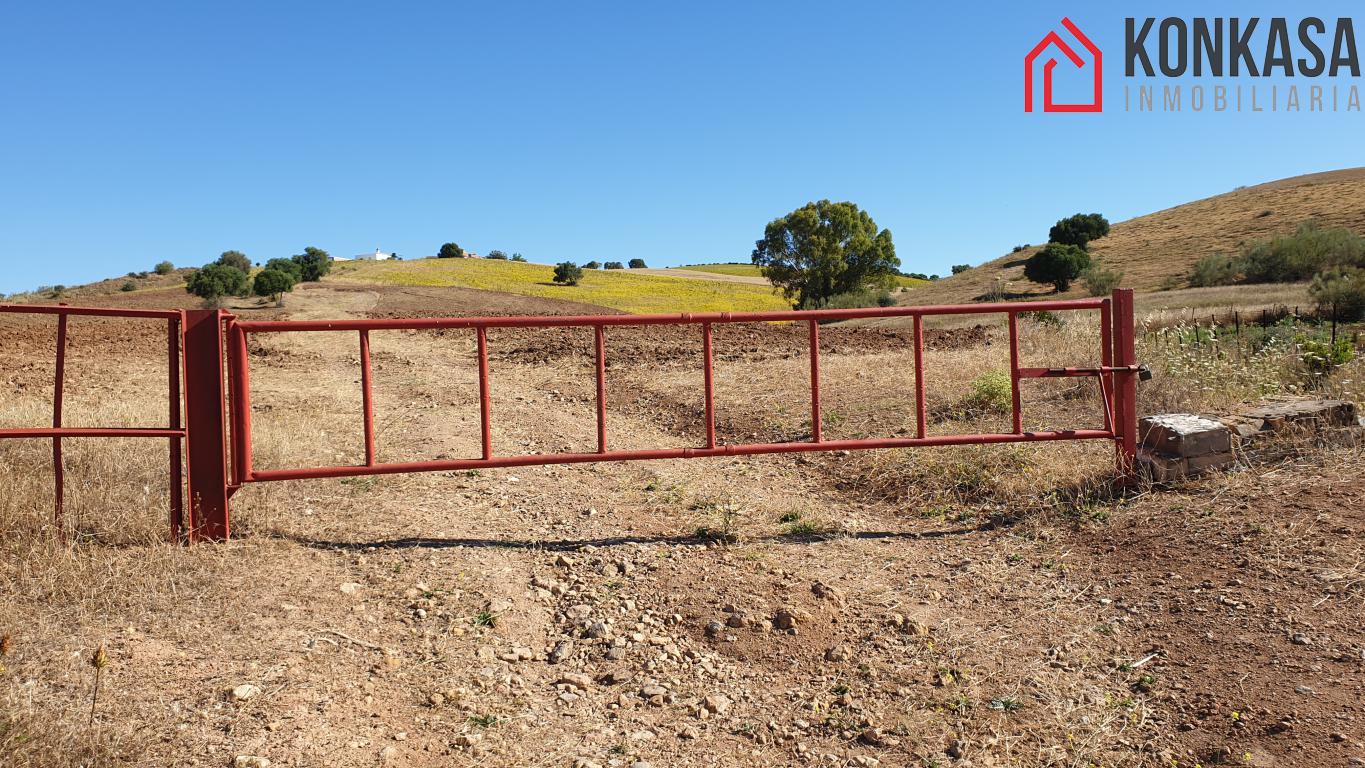 Venta de finca rústica en Arcos de la Frontera