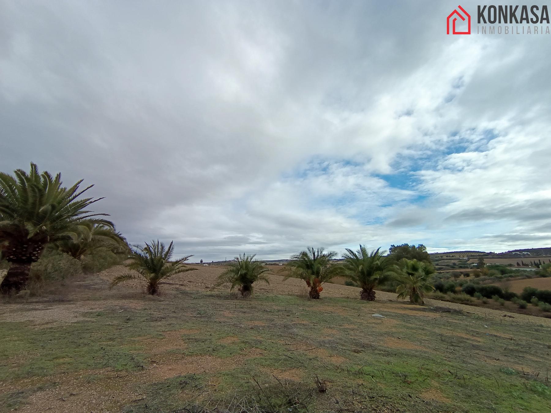 For sale of rural property in Arcos de la Frontera