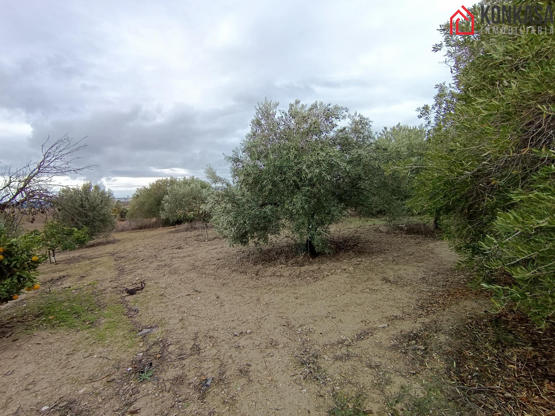 For sale of rural property in Arcos de la Frontera