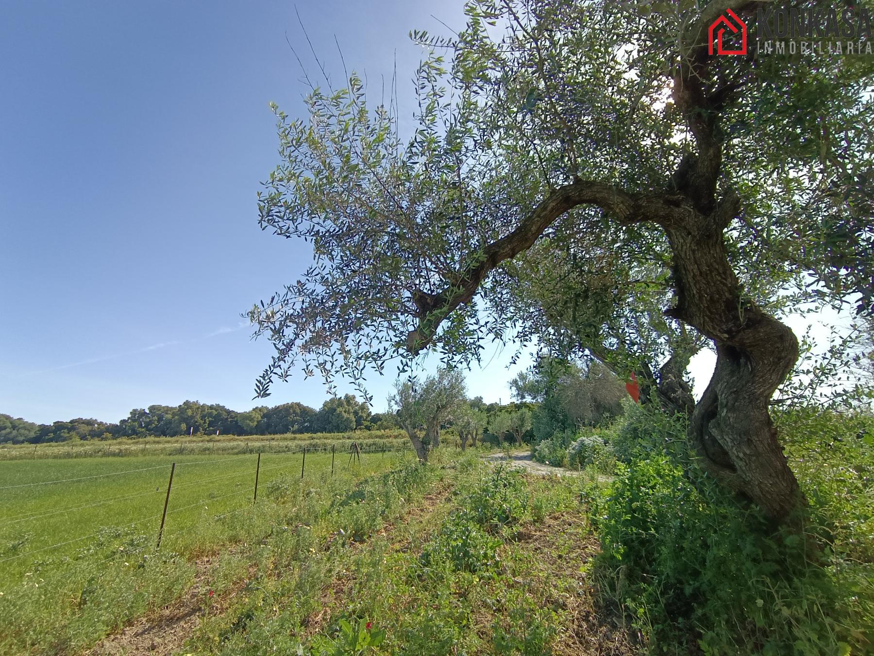 For sale of rural property in Arcos de la Frontera