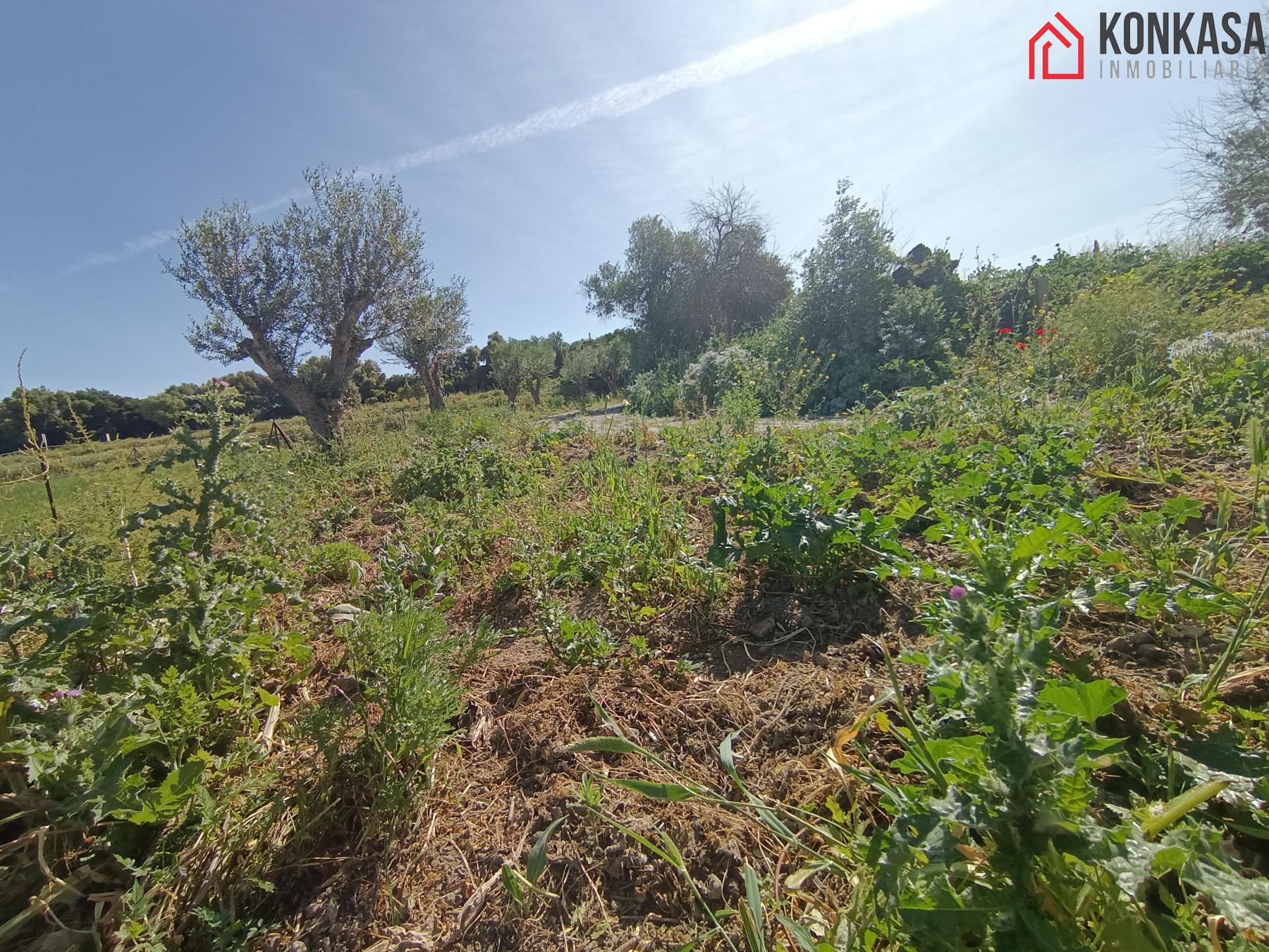 For sale of rural property in Arcos de la Frontera