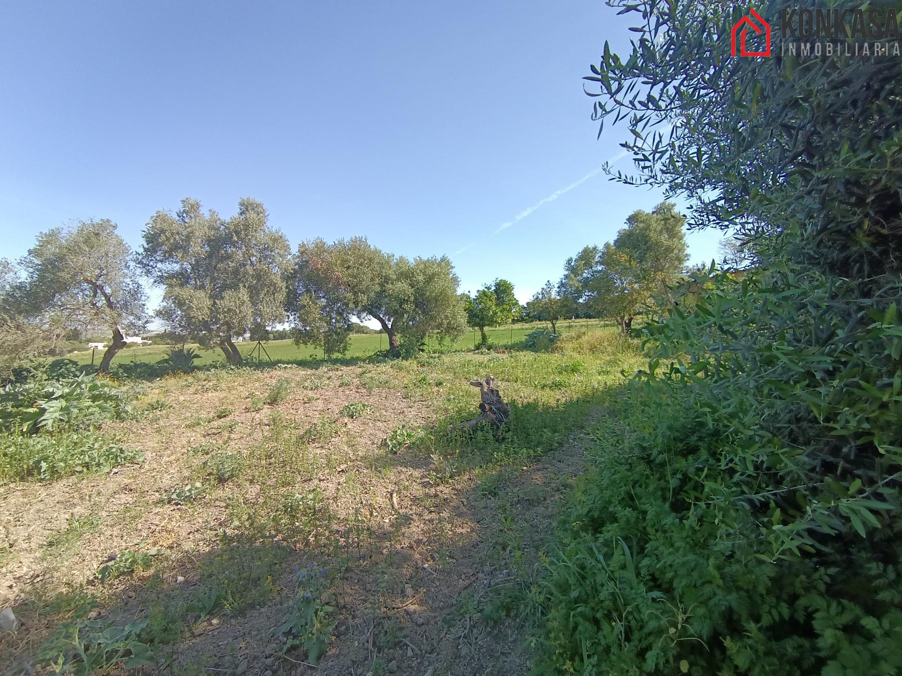 For sale of rural property in Arcos de la Frontera