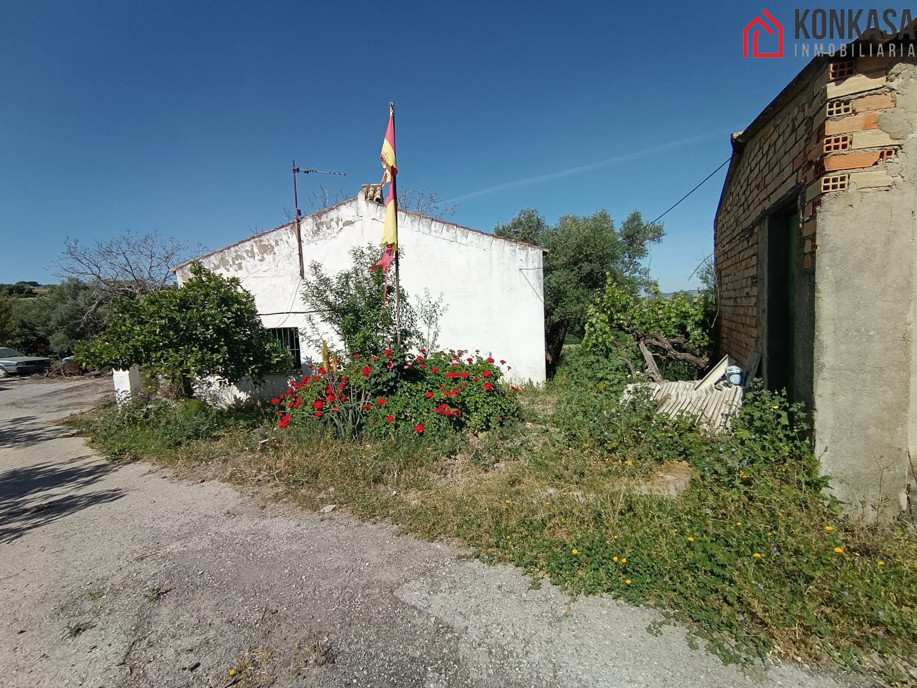 Venta de finca rústica en Arcos de la Frontera