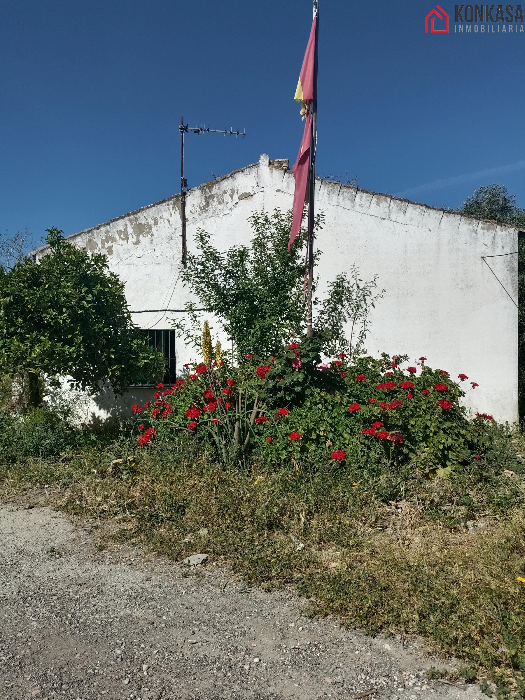 Venta de finca rústica en Arcos de la Frontera