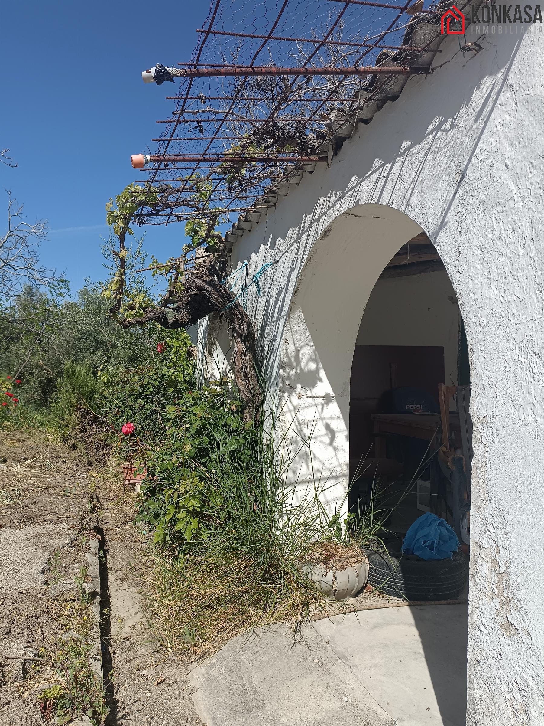 Venta de finca rústica en Arcos de la Frontera