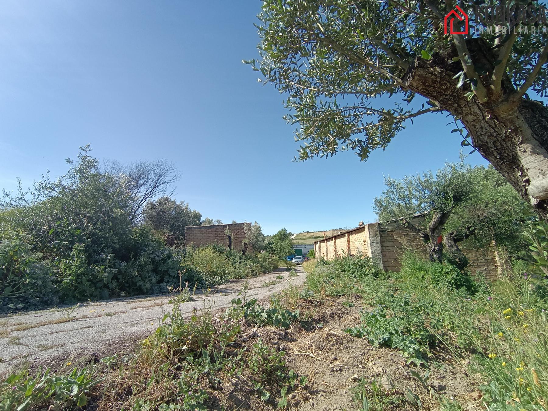 Venta de finca rústica en Arcos de la Frontera