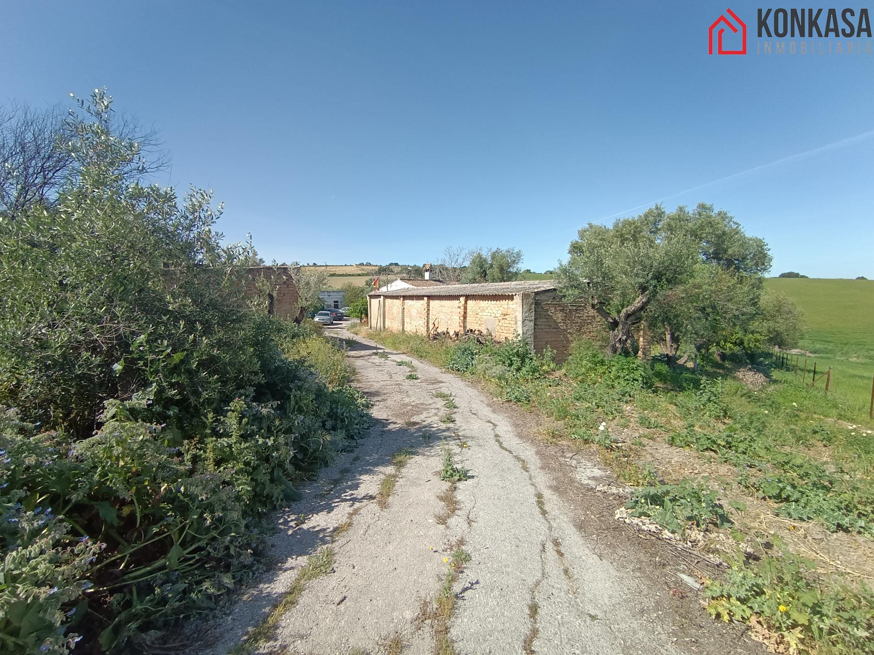 Venta de finca rústica en Arcos de la Frontera