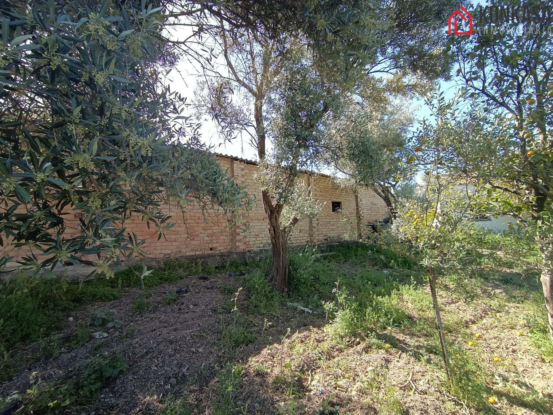 Venta de finca rústica en Arcos de la Frontera