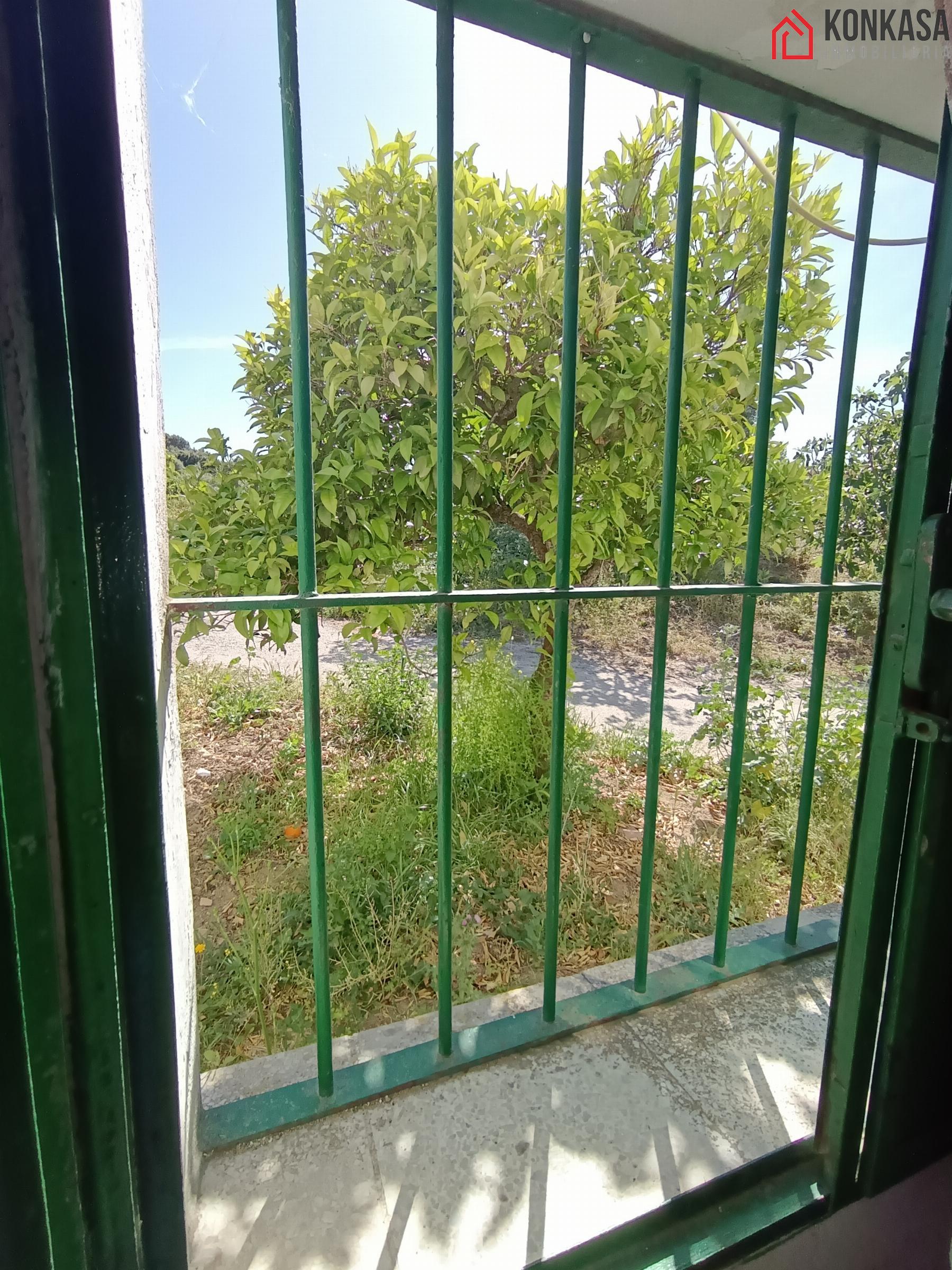 Venta de finca rústica en Arcos de la Frontera