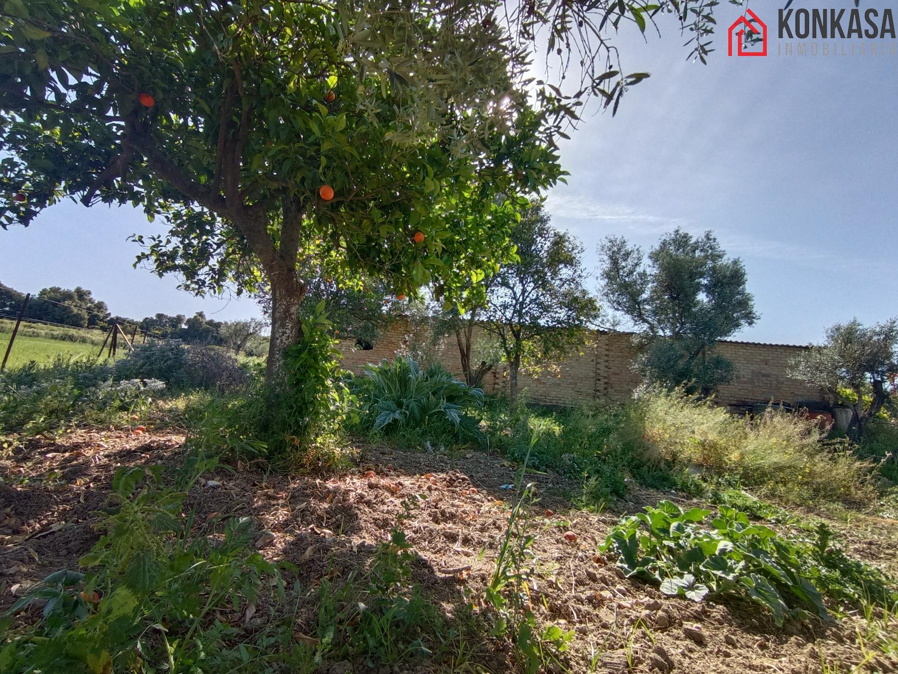 For sale of rural property in Arcos de la Frontera