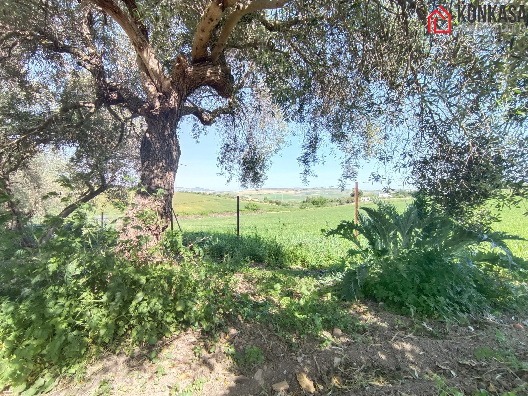 For sale of rural property in Arcos de la Frontera