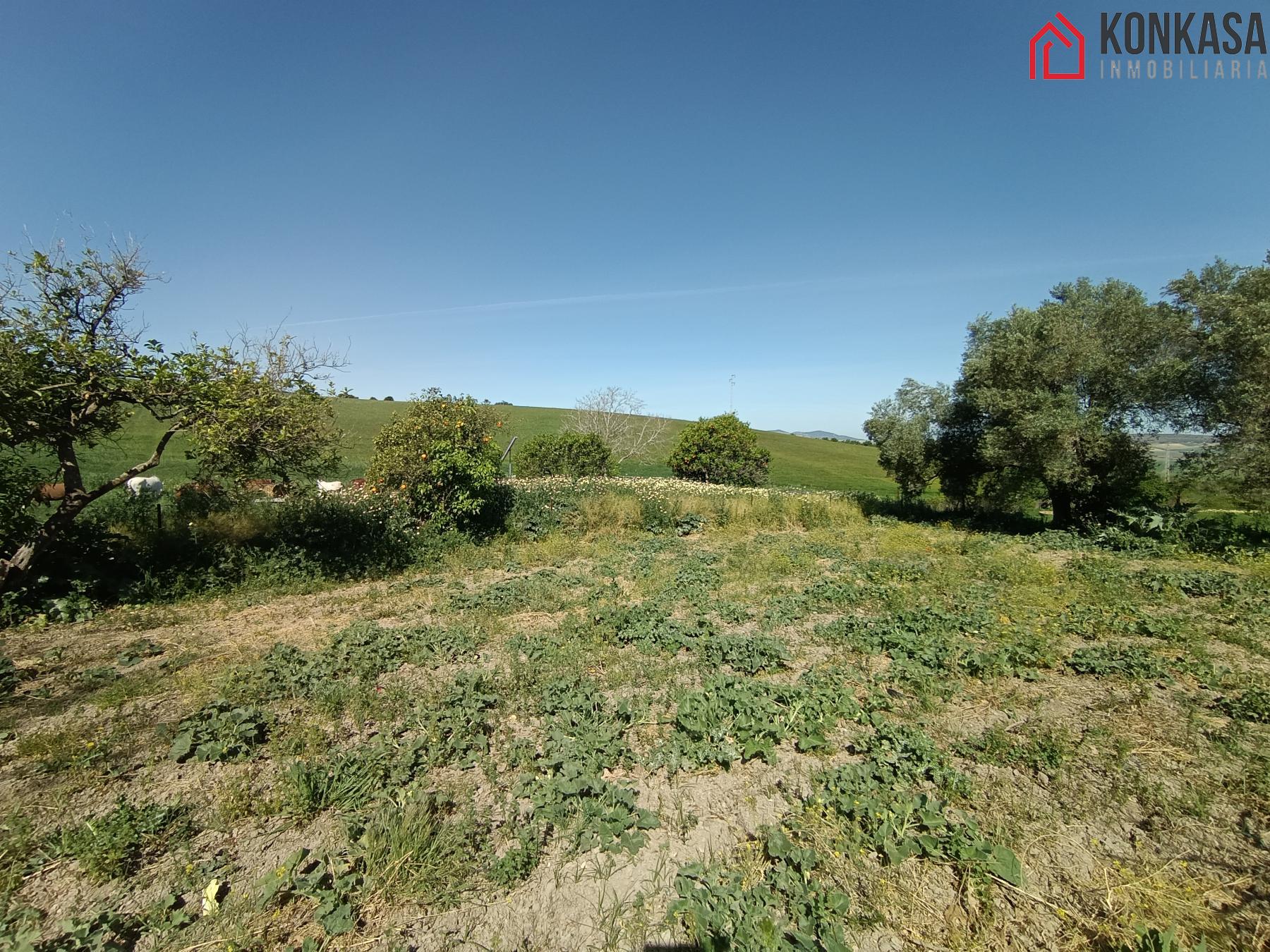 For sale of rural property in Arcos de la Frontera