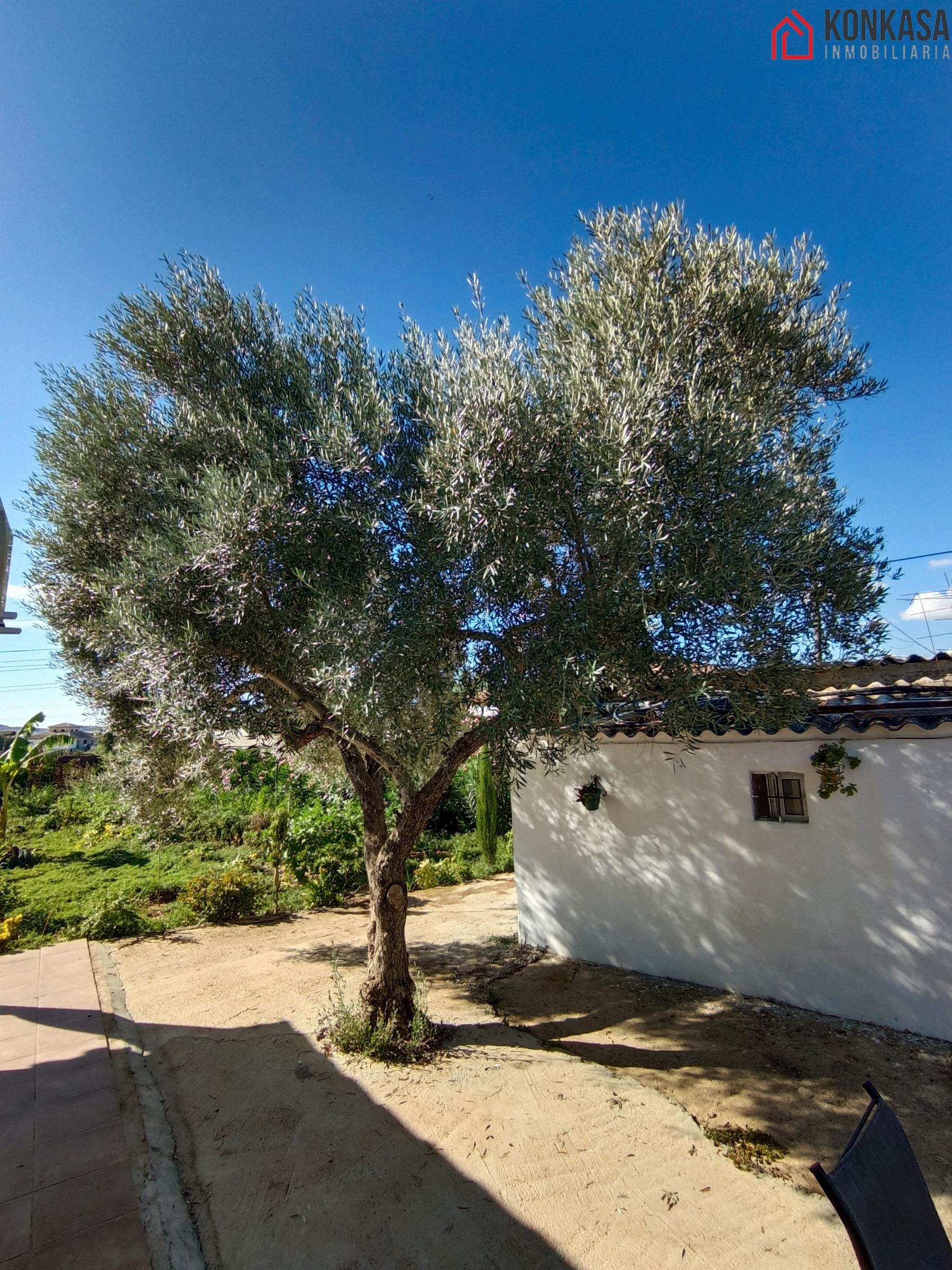 Venta de chalet en Arcos de la Frontera