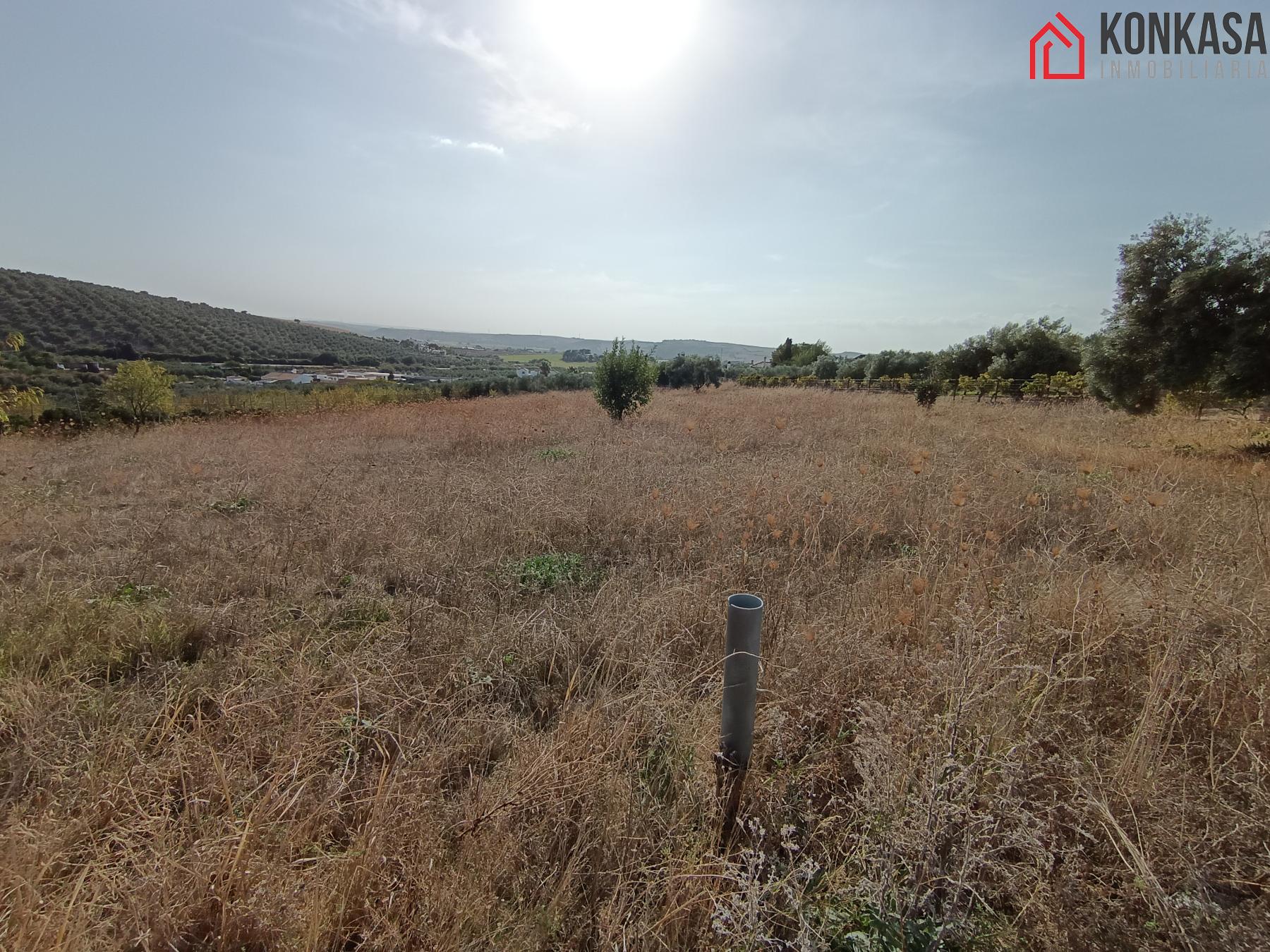 For sale of land in Arcos de la Frontera