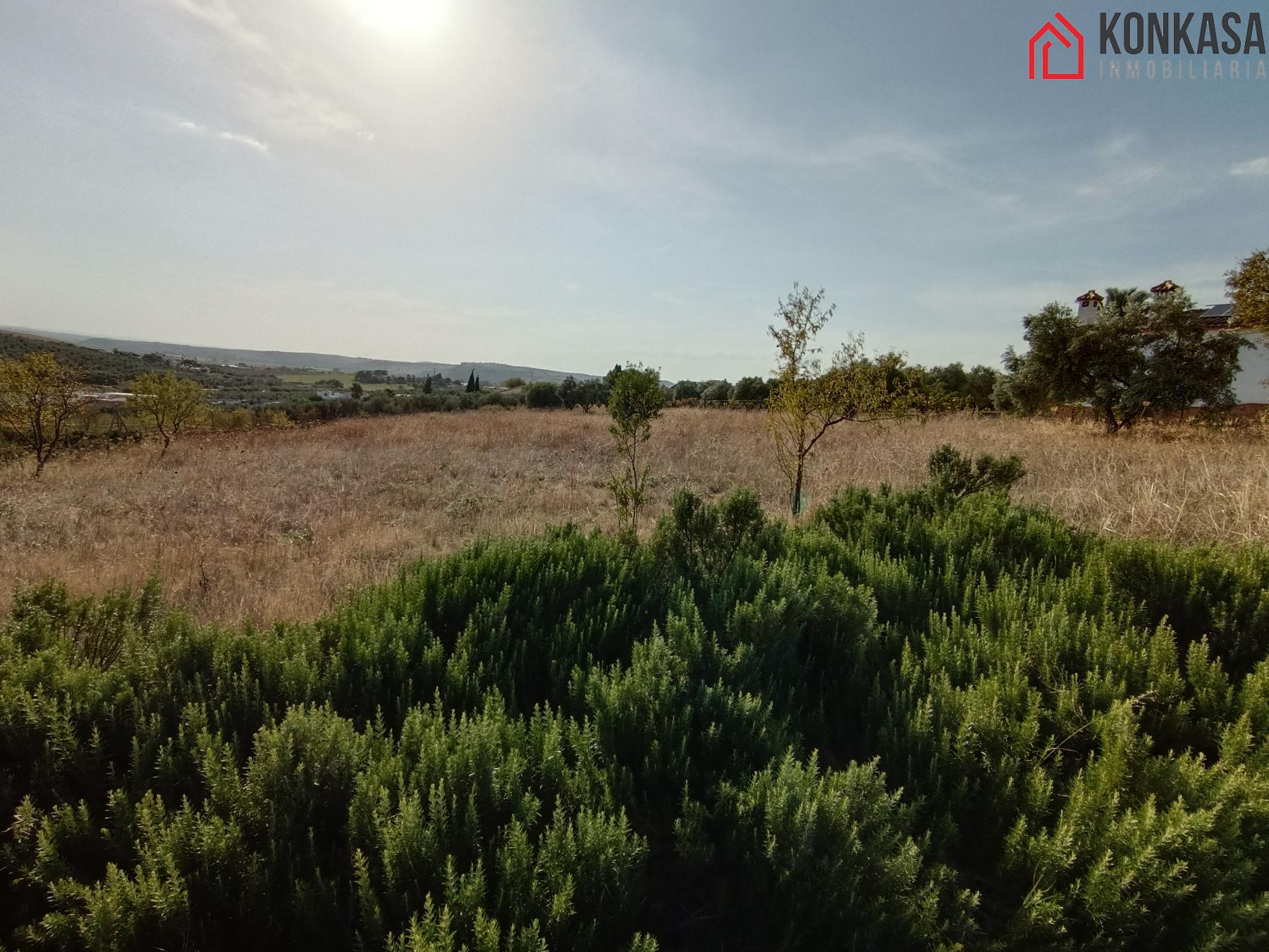 Venta de terreno en Arcos de la Frontera