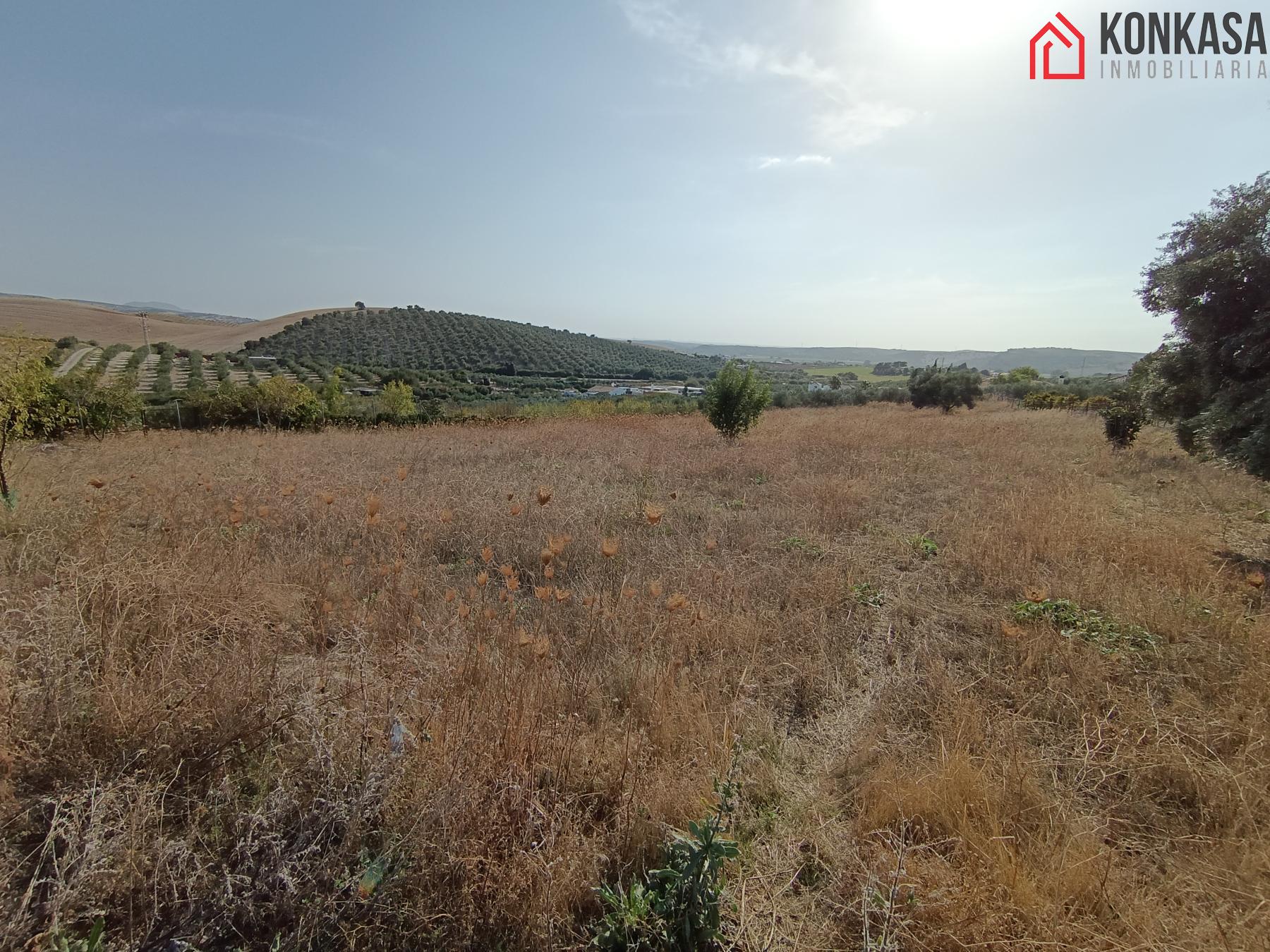 For sale of land in Arcos de la Frontera