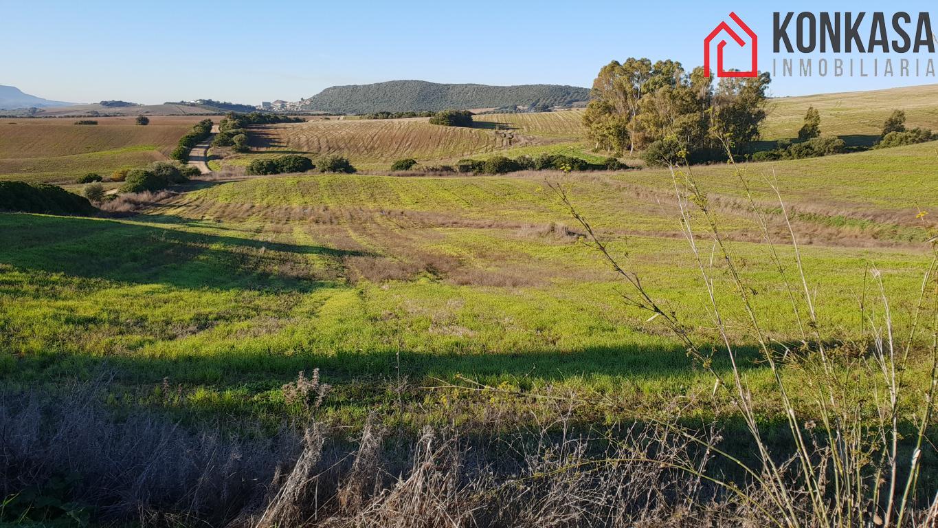 Venta de finca rústica en Arcos de la Frontera