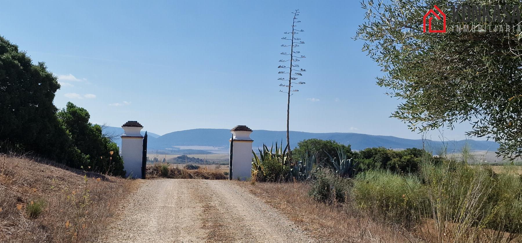 Venta de finca rústica en Arcos de la Frontera