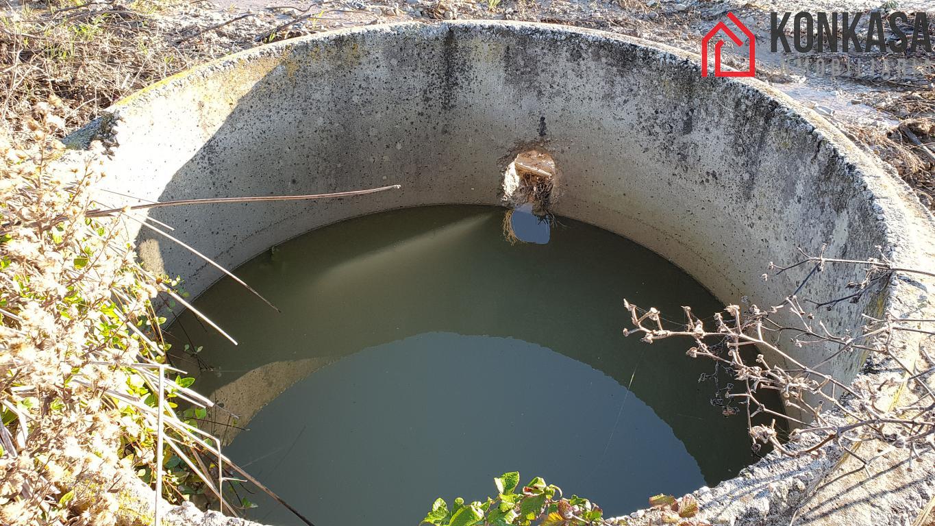 Venta de finca rústica en Arcos de la Frontera