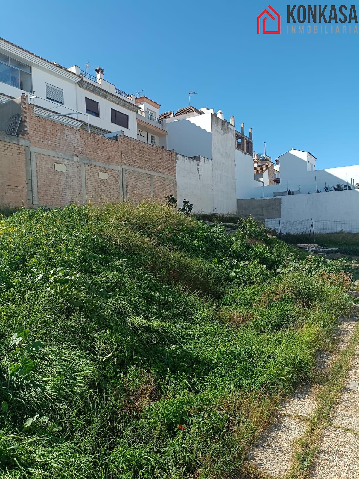 For sale of land in Arcos de la Frontera