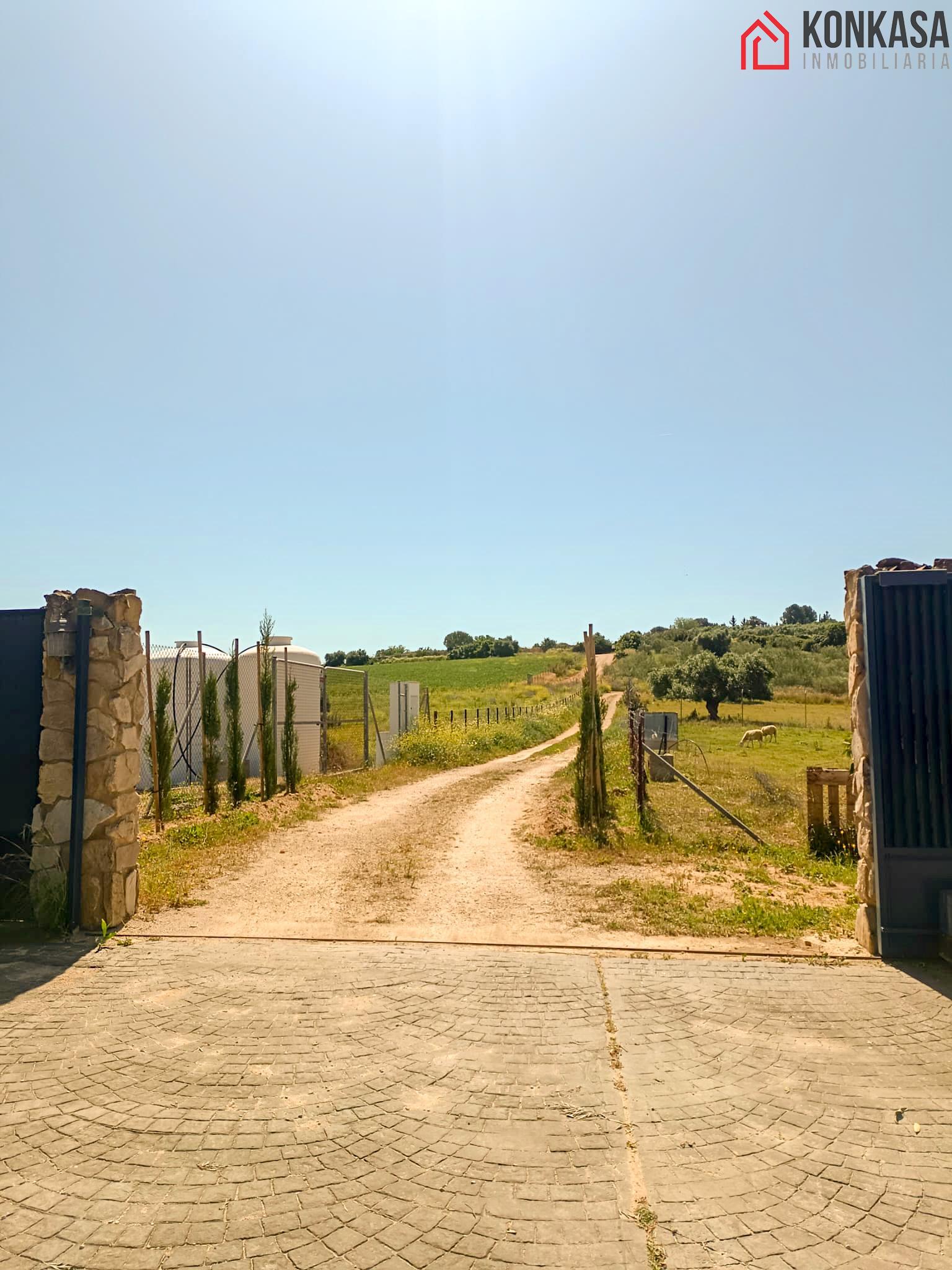 Entry/Exit