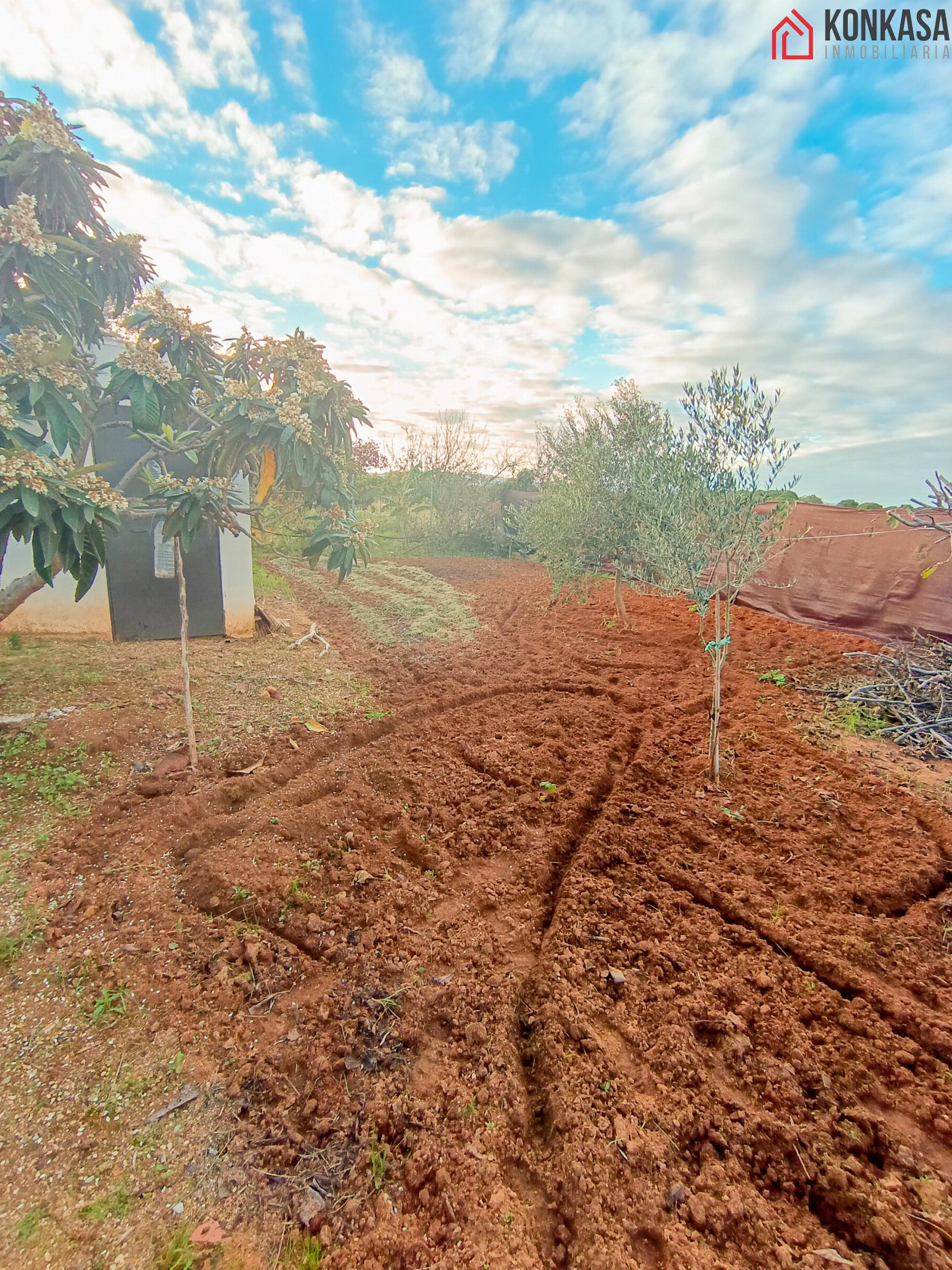 Terreno