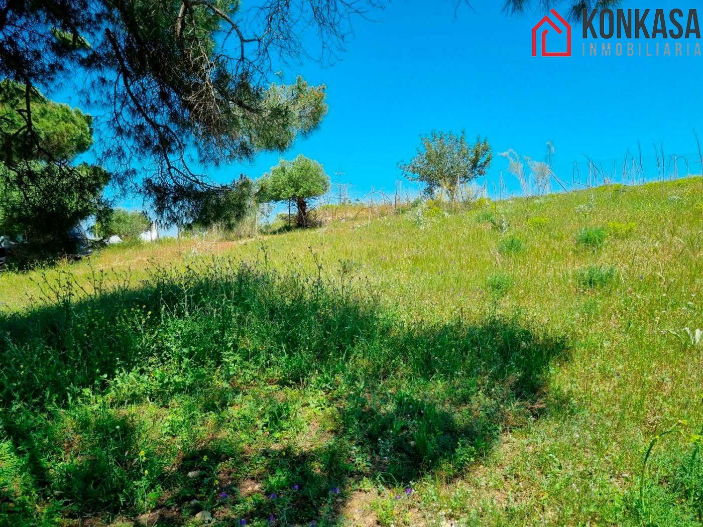Venta de terreno en Arcos de la Frontera