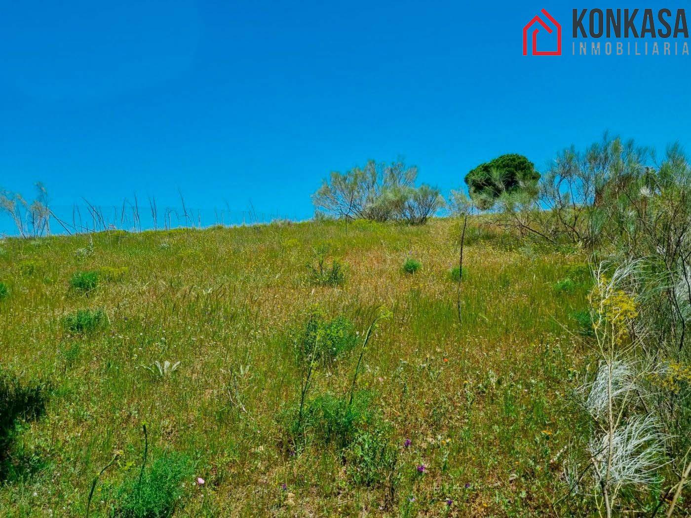 Venta de terreno en Arcos de la Frontera