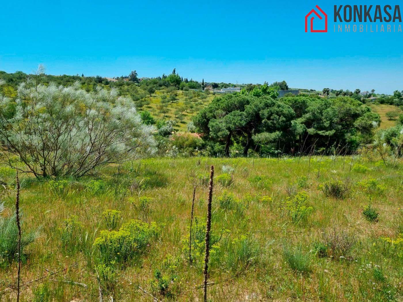 Venta de terreno en Arcos de la Frontera