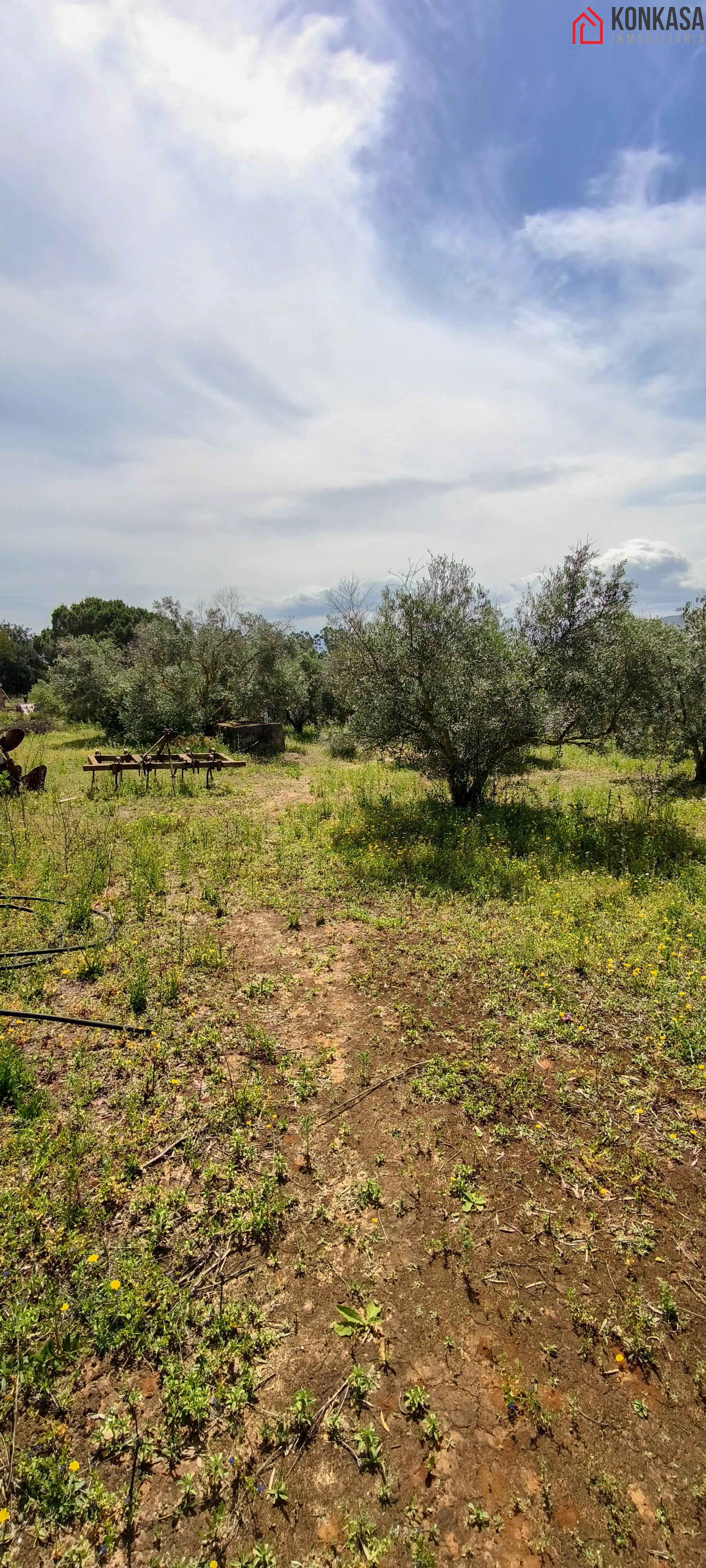 Ground
